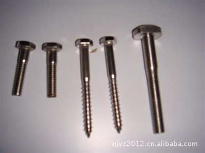 【供應(yīng)各種不銹鋼自攻釘,非標(biāo)自攻釘,鉆尾釘,平尾割尾自攻】?jī)r(jià)格,廠家,圖片,螺釘/螺絲釘,南京遠(yuǎn)中緊固件-